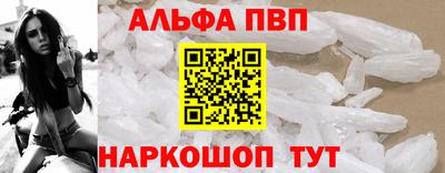 стаф Новокубанск
